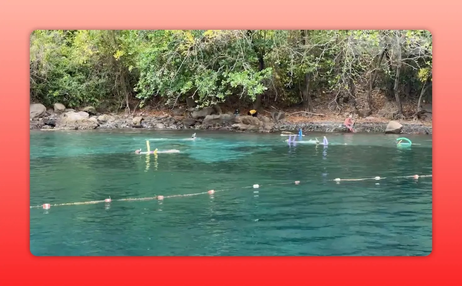 Snorkelers floating in clear blue-green water in a St. Lucia marine reserve